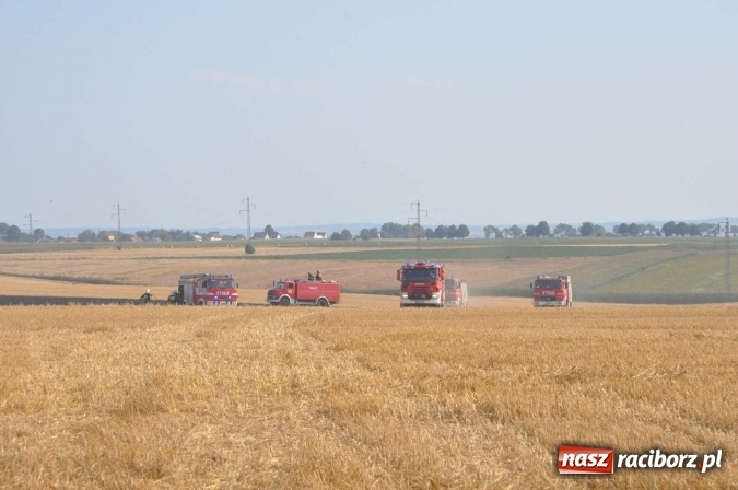 Zdjęcie w galerii na portalu naszraciborz.pl: Słup dymu widoczny aż z Brzezia. W Strzybniku paliło się kilka hektarów ścierniska wiadomości z regionu