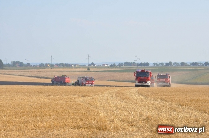 Zdjęcie w galerii na portalu naszraciborz.pl: Słup dymu widoczny aż z Brzezia. W Strzybniku paliło się kilka hektarów ścierniska wiadomości z regionu