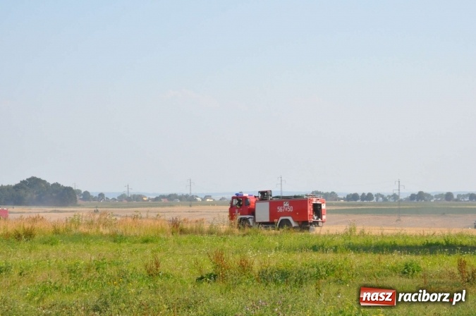 Zdjęcie w galerii na portalu naszraciborz.pl: Słup dymu widoczny aż z Brzezia. W Strzybniku paliło się kilka hektarów ścierniska wiadomości z regionu