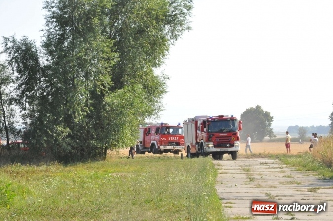 Zdjęcie w galerii na portalu naszraciborz.pl: Słup dymu widoczny aż z Brzezia. W Strzybniku paliło się kilka hektarów ścierniska wiadomości z regionu