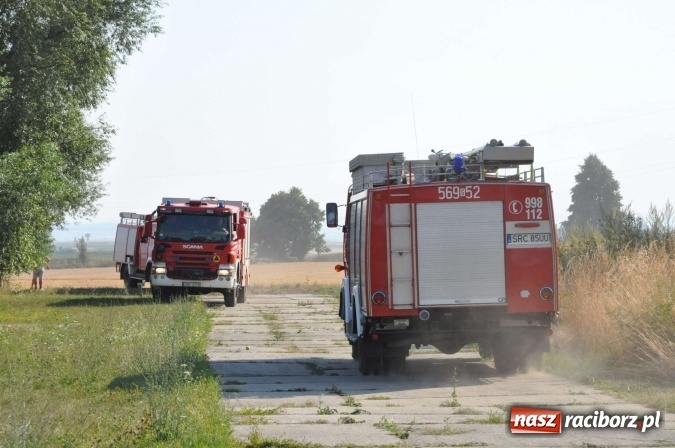 Zdjęcie w galerii na portalu naszraciborz.pl: Słup dymu widoczny aż z Brzezia. W Strzybniku paliło się kilka hektarów ścierniska wiadomości z regionu