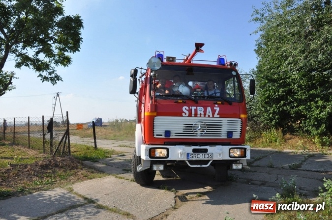 Zdjęcie w galerii na portalu naszraciborz.pl: Słup dymu widoczny aż z Brzezia. W Strzybniku paliło się kilka hektarów ścierniska wiadomości z regionu