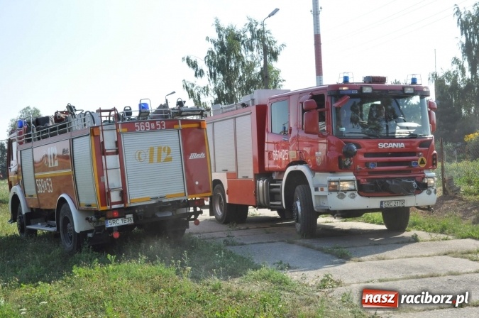 Zdjęcie w galerii na portalu naszraciborz.pl: Słup dymu widoczny aż z Brzezia. W Strzybniku paliło się kilka hektarów ścierniska wiadomości z regionu