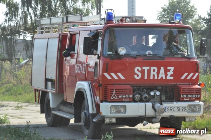 Zdjęcie w galerii na portalu naszraciborz.pl: Słup dymu widoczny aż z Brzezia. W Strzybniku paliło się kilka hektarów ścierniska wiadomości z regionu