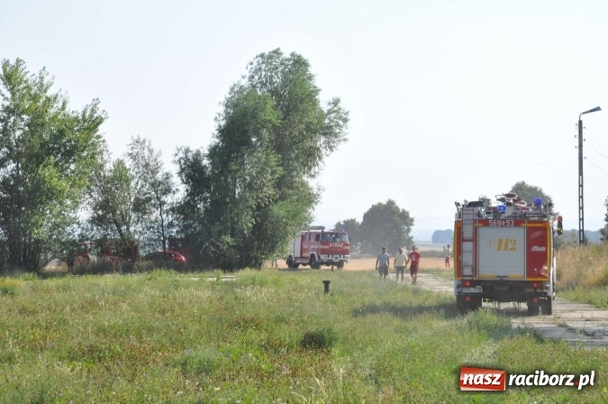 Zdjęcie w galerii na portalu naszraciborz.pl: Słup dymu widoczny aż z Brzezia. W Strzybniku paliło się kilka hektarów ścierniska wiadomości z regionu