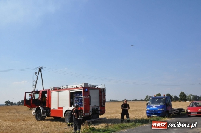 Zdjęcie w galerii na portalu naszraciborz.pl: Słup dymu widoczny aż z Brzezia. W Strzybniku paliło się kilka hektarów ścierniska wiadomości z regionu