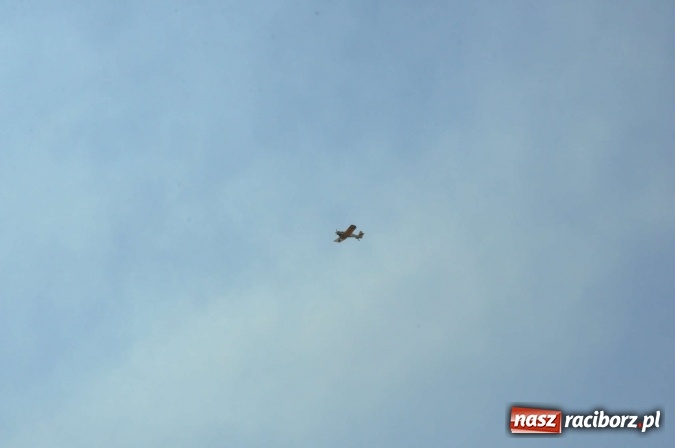 Zdjęcie w galerii na portalu naszraciborz.pl: Słup dymu widoczny aż z Brzezia. W Strzybniku paliło się kilka hektarów ścierniska wiadomości z regionu