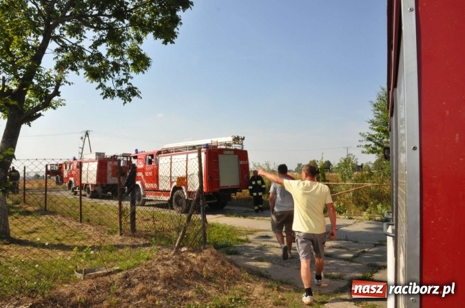 Zdjęcie w galerii na portalu naszraciborz.pl: Słup dymu widoczny aż z Brzezia. W Strzybniku paliło się kilka hektarów ścierniska wiadomości z regionu