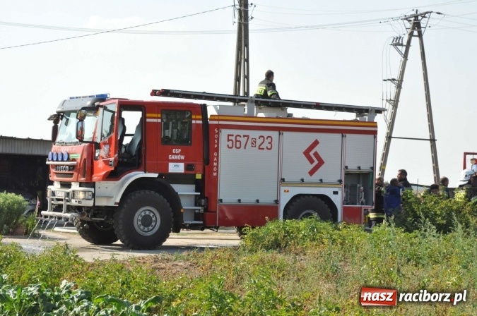 Zdjęcie w galerii na portalu naszraciborz.pl: Słup dymu widoczny aż z Brzezia. W Strzybniku paliło się kilka hektarów ścierniska wiadomości z regionu
