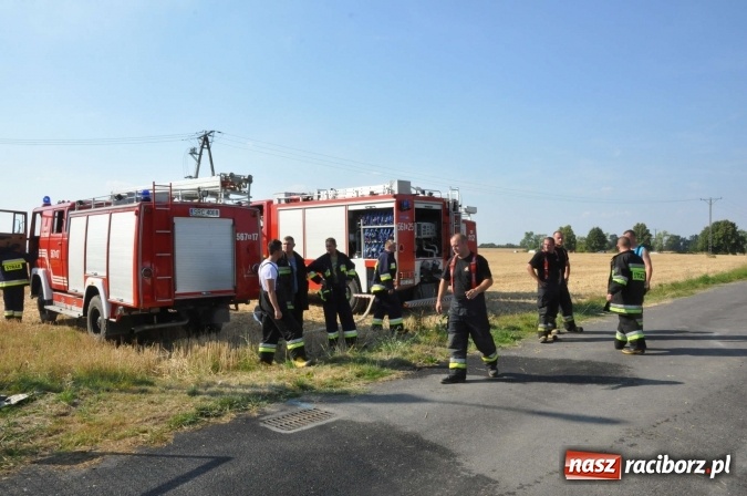 Zdjęcie w galerii na portalu naszraciborz.pl: Słup dymu widoczny aż z Brzezia. W Strzybniku paliło się kilka hektarów ścierniska wiadomości z regionu