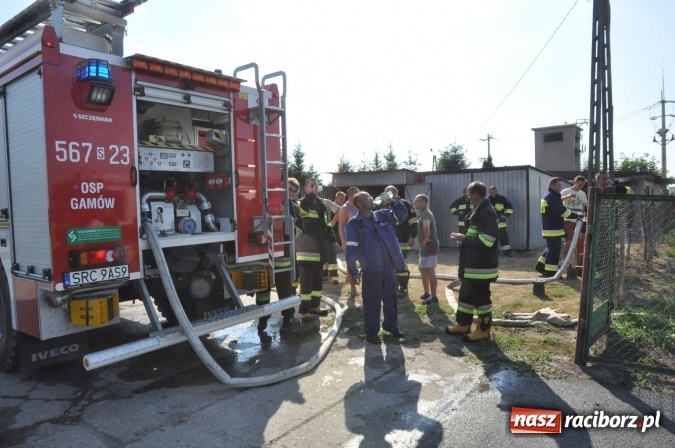 Zdjęcie w galerii na portalu naszraciborz.pl: Słup dymu widoczny aż z Brzezia. W Strzybniku paliło się kilka hektarów ścierniska wiadomości z regionu