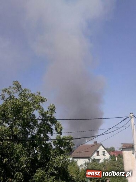 Zdjęcie w galerii na portalu naszraciborz.pl: Słup dymu widoczny aż z Brzezia. W Strzybniku paliło się kilka hektarów ścierniska wiadomości z regionu