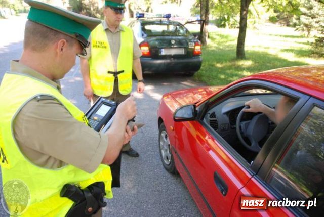 Zdjęcie w galerii na portalu naszraciborz.pl: 13 cudzoziemców złamało przepisy wiadomości z regionu