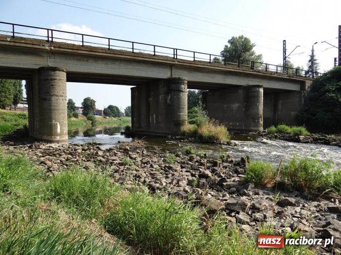 Zdjęcie w galerii na portalu naszraciborz.pl: Nie ma, nie ma wody... w Odrze wiadomości z regionu