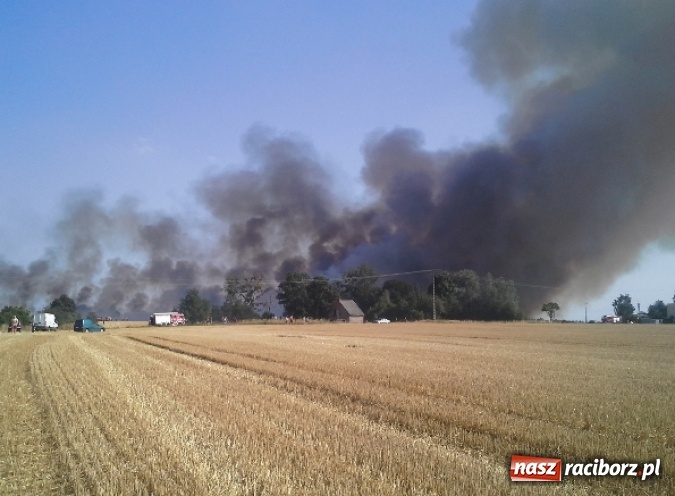 Zdjęcie w galerii na portalu naszraciborz.pl: Podpalacz postawił na nogi blisko 140 strażaków! Walczyli z ogniem 3,5 godziny! wiadomości z regionu