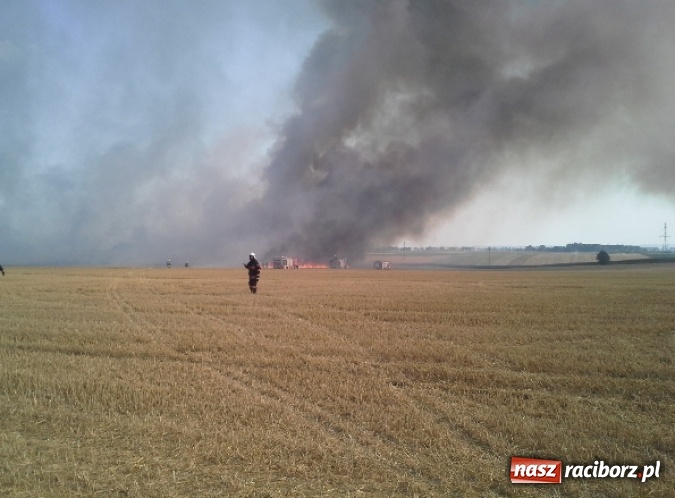 Zdjęcie w galerii na portalu naszraciborz.pl: Podpalacz postawił na nogi blisko 140 strażaków! Walczyli z ogniem 3,5 godziny! wiadomości z regionu