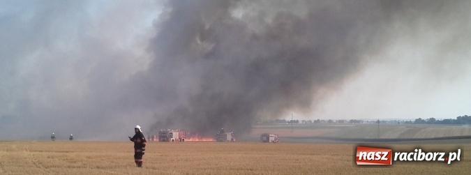 Zdjęcie w galerii na portalu naszraciborz.pl: Podpalacz postawił na nogi blisko 140 strażaków! Walczyli z ogniem 3,5 godziny! wiadomości z regionu
