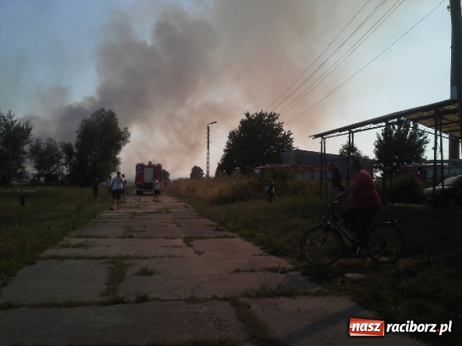 Zdjęcie w galerii na portalu naszraciborz.pl: Podpalacz postawił na nogi blisko 140 strażaków! Walczyli z ogniem 3,5 godziny! wiadomości z regionu