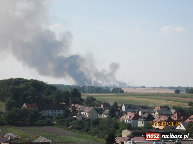 Zdjęcie w galerii na portalu naszraciborz.pl: Podpalacz postawił na nogi blisko 140 strażaków! Walczyli z ogniem 3,5 godziny! wiadomości z regionu