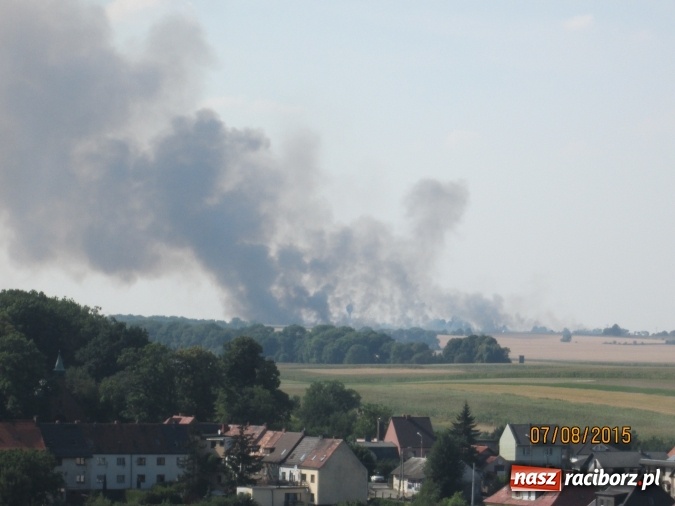Zdjęcie w galerii na portalu naszraciborz.pl: Podpalacz postawił na nogi blisko 140 strażaków! Walczyli z ogniem 3,5 godziny! wiadomości z regionu