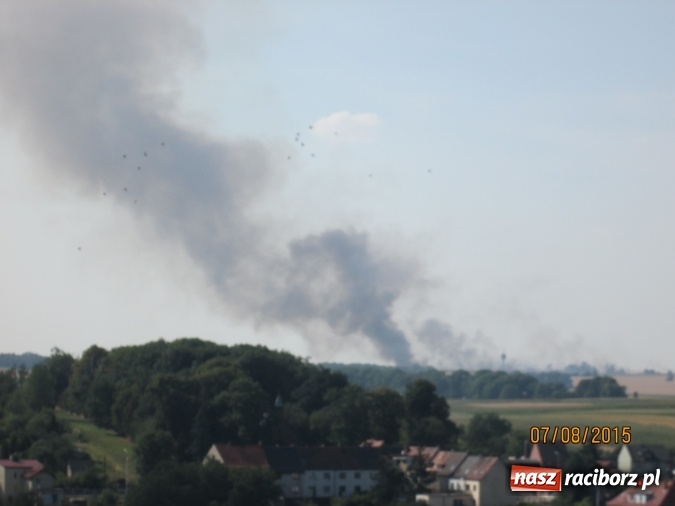Zdjęcie w galerii na portalu naszraciborz.pl: Podpalacz postawił na nogi blisko 140 strażaków! Walczyli z ogniem 3,5 godziny! wiadomości z regionu