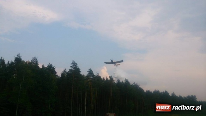 Zdjęcie w galerii na portalu naszraciborz.pl: Kolejny pożar lasu, tym razem w Nędzy - weekendowe działania strażaków  wiadomości z regionu