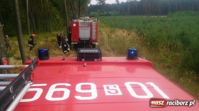 Zdjęcie w galerii na portalu naszraciborz.pl: Kolejny pożar lasu, tym razem w Nędzy - weekendowe działania strażaków  wiadomości z regionu