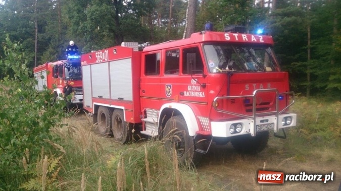 Zdjęcie w galerii na portalu naszraciborz.pl: Kolejny pożar lasu, tym razem w Nędzy - weekendowe działania strażaków  wiadomości z regionu