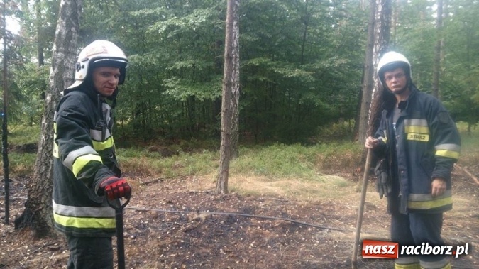 Zdjęcie w galerii na portalu naszraciborz.pl: Kolejny pożar lasu, tym razem w Nędzy - weekendowe działania strażaków  wiadomości z regionu