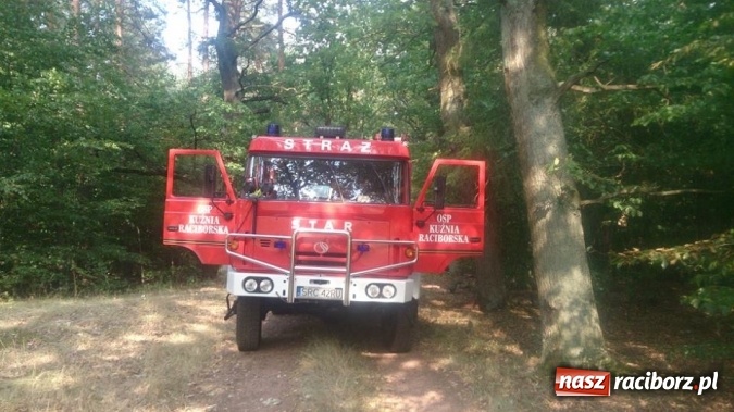Zdjęcie w galerii na portalu naszraciborz.pl: Kolejny pożar lasu, tym razem w Nędzy - weekendowe działania strażaków  wiadomości z regionu