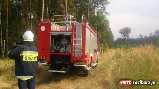 Zdjęcie w galerii na portalu naszraciborz.pl: Kolejny pożar lasu, tym razem w Nędzy - weekendowe działania strażaków  wiadomości z regionu