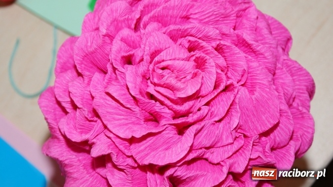 Zdjęcie w galerii na portalu naszraciborz.pl: W bibliotece czas na róże. Z krepiny wiadomości z regionu