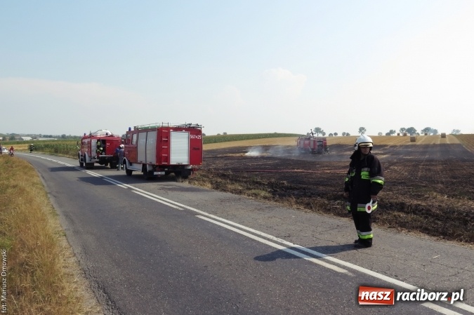 Zdjęcie w galerii na portalu naszraciborz.pl: Plaga pożarów na terenie naszego powiatu!  wiadomości z regionu