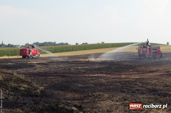 Zdjęcie w galerii na portalu naszraciborz.pl: Plaga pożarów na terenie naszego powiatu!  wiadomości z regionu
