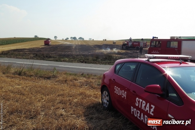 Zdjęcie w galerii na portalu naszraciborz.pl: Plaga pożarów na terenie naszego powiatu!  wiadomości z regionu