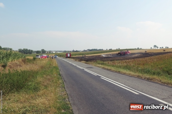 Zdjęcie w galerii na portalu naszraciborz.pl: Plaga pożarów na terenie naszego powiatu!  wiadomości z regionu