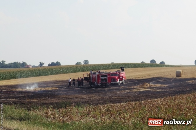 Zdjęcie w galerii na portalu naszraciborz.pl: Plaga pożarów na terenie naszego powiatu!  wiadomości z regionu