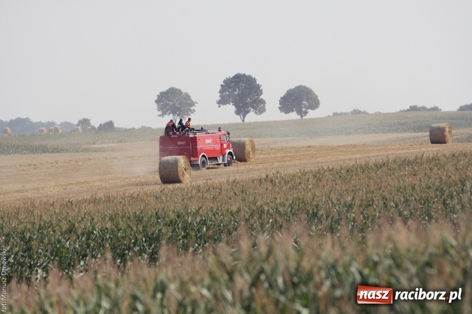 Zdjęcie w galerii na portalu naszraciborz.pl: Plaga pożarów na terenie naszego powiatu!  wiadomości z regionu