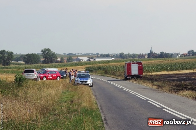 Zdjęcie w galerii na portalu naszraciborz.pl: Plaga pożarów na terenie naszego powiatu!  wiadomości z regionu