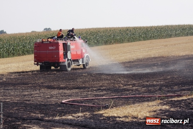 Zdjęcie w galerii na portalu naszraciborz.pl: Plaga pożarów na terenie naszego powiatu!  wiadomości z regionu