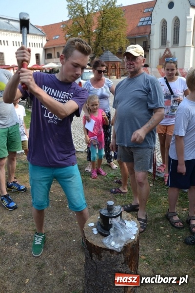 Zdjęcie w galerii na portalu naszraciborz.pl: Spotkanie z płatnerzem, czyli Letnia Akcja Zamkowe Zuchy 2015 na zamku  wiadomości z regionu