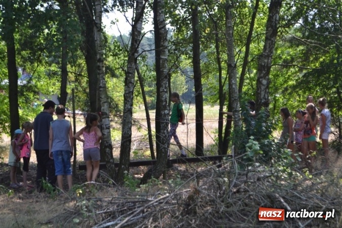 Zdjęcie w galerii na portalu naszraciborz.pl: Eko-warsztaty u Kowola wiadomości z regionu