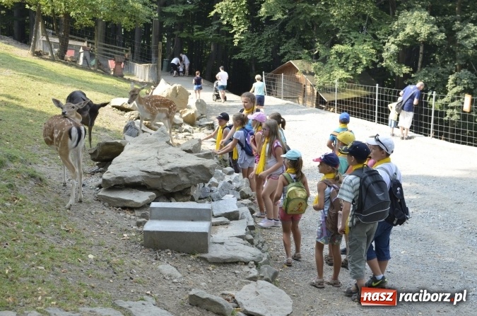 Zdjęcie w galerii na portalu naszraciborz.pl: Spotkania z kulturą w RCK dobiegły końca  wiadomości z regionu