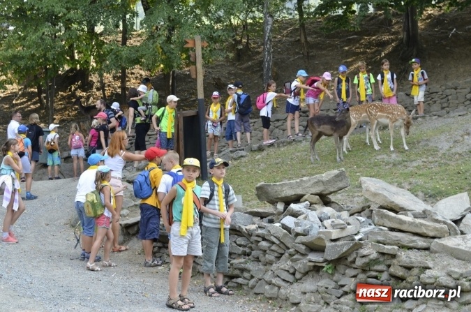 Zdjęcie w galerii na portalu naszraciborz.pl: Spotkania z kulturą w RCK dobiegły końca  wiadomości z regionu
