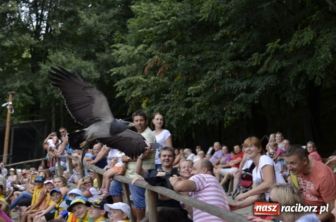 Zdjęcie w galerii na portalu naszraciborz.pl: Spotkania z kulturą w RCK dobiegły końca  wiadomości z regionu