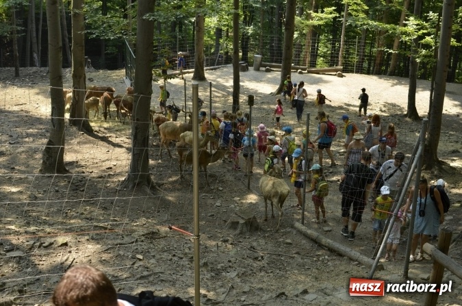 Zdjęcie w galerii na portalu naszraciborz.pl: Spotkania z kulturą w RCK dobiegły końca  wiadomości z regionu