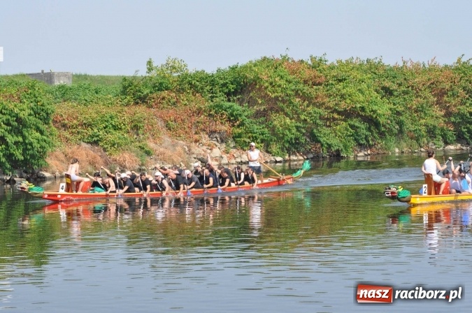 Zdjęcie w galerii na portalu naszraciborz.pl: Zobacz jak Czesi ożywiają Odrę. W Chałupkach-Boguminie zorganizowano czwarte już wyścigi smoczych łodzi wiadomości z regionu