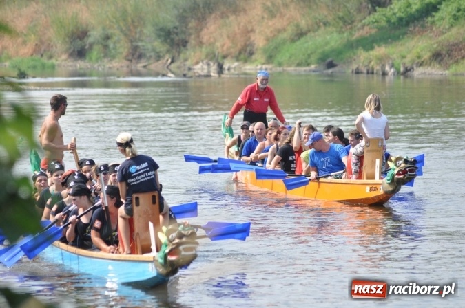 Zdjęcie w galerii na portalu naszraciborz.pl: Zobacz jak Czesi ożywiają Odrę. W Chałupkach-Boguminie zorganizowano czwarte już wyścigi smoczych łodzi wiadomości z regionu