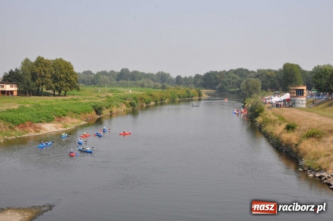 Zdjęcie w galerii na portalu naszraciborz.pl: Zobacz jak Czesi ożywiają Odrę. W Chałupkach-Boguminie zorganizowano czwarte już wyścigi smoczych łodzi wiadomości z regionu