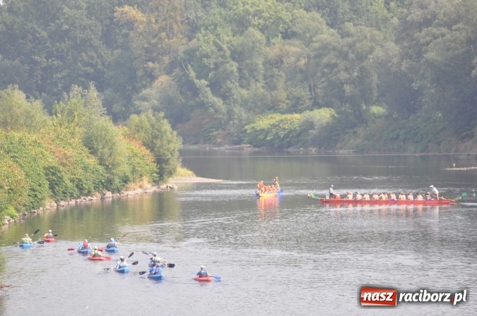 Zdjęcie w galerii na portalu naszraciborz.pl: Zobacz jak Czesi ożywiają Odrę. W Chałupkach-Boguminie zorganizowano czwarte już wyścigi smoczych łodzi wiadomości z regionu